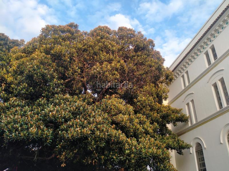 Foto 6280296f-b7d0-4b7a-aa2a-b5c885696e84. Etagenwohnung in La Caleta - La Viña Cádiz