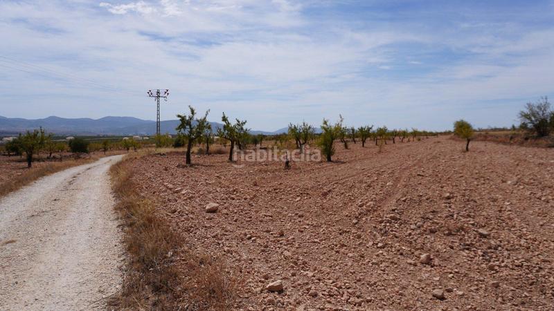 Foto 28d09ccb-d7c6-4b26-ace4-d7ca501de1ee. Rural plot in Yecla