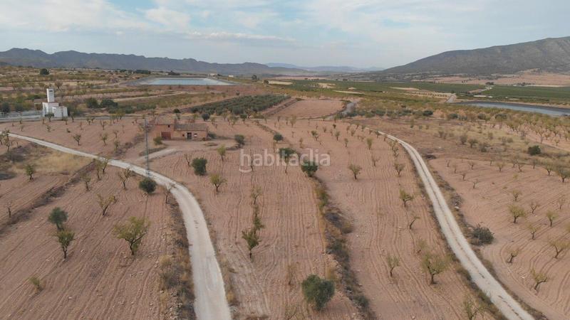 Foto 36ba234a-3ba4-4129-bde3-a95b8cffb280. Rural plot in Yecla