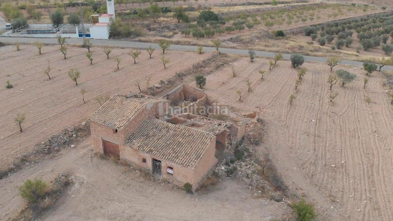 Foto 6974d371-c885-4239-8ce4-0290c5c49953. Rural plot in Yecla