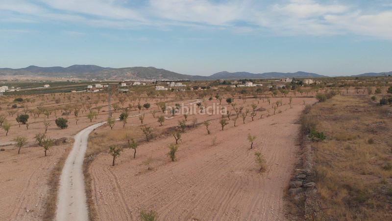 Foto d6ccf4b8-1287-4a5c-9d10-bc2b0159f11f. Rural plot in Yecla