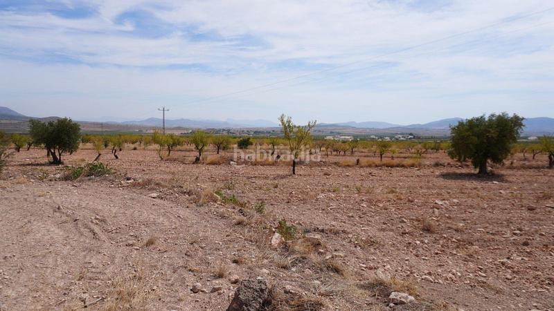 Foto e4f97ef9-e16f-433d-860f-7cec3723b1ba. Rural plot in Yecla