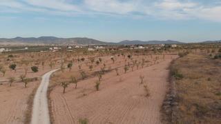 Finca rústica en Yecla