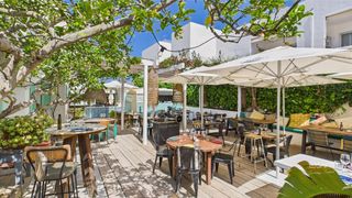 Transfer Business premise in Ses Figueretes - Platja d'en Bossa - Cas Serres