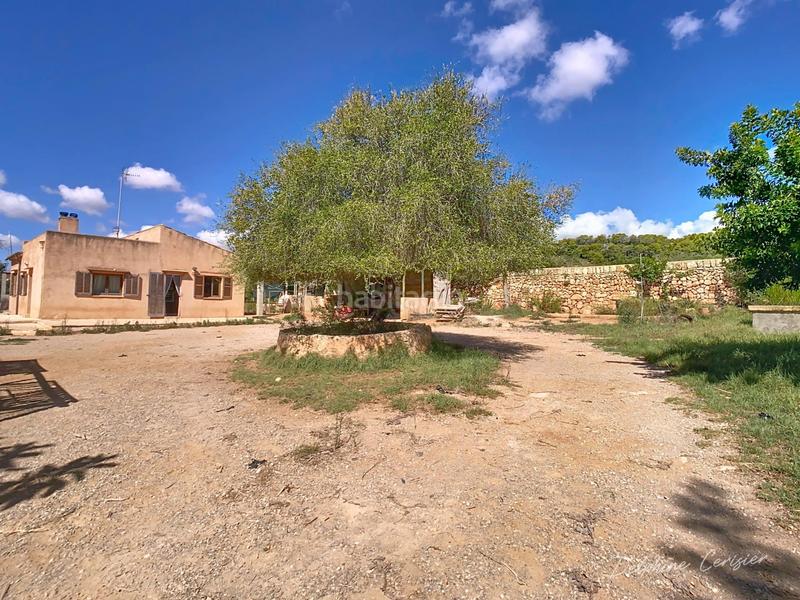Foto 7a9a4128-adf6-4ff9-a732-b222b26bb293. Mas dans S´Alquería Blanca - Calonge Santanyí