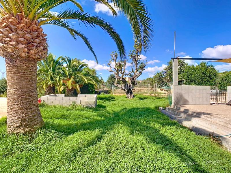 Foto 516b8043-09f9-464b-adf2-a931524f1c0e. Masia a S´Alquería Blanca - Calonge Santanyí