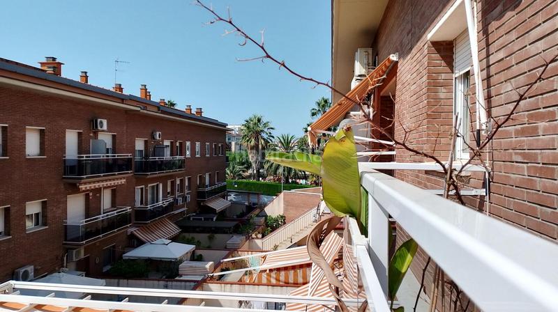 Foto b6a7651d-9bf7-4e50-a302-ade45d90d339. Zweistöckige wohnung mit parking in Centre Pineda de Mar