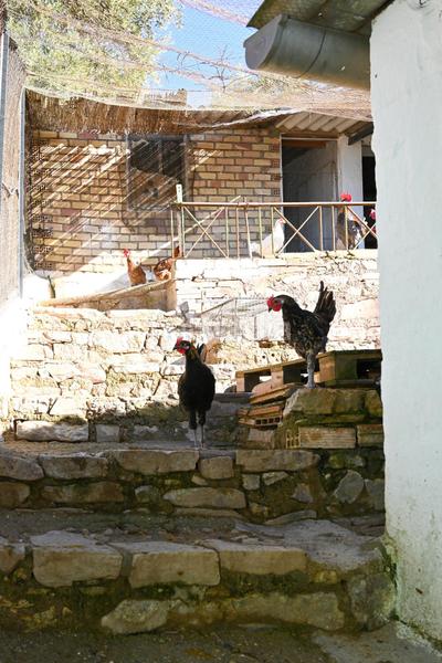 Foto c0b54d24-3283-4a2e-ac0f-8ccb55ed1a63. Masia amb calefacció aparcament a Villanueva de Algaidas