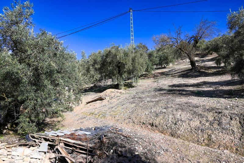 Foto 5064c381-18ea-4a07-aae5-3d456c01a3ad. Masía en Villanueva de Algaidas