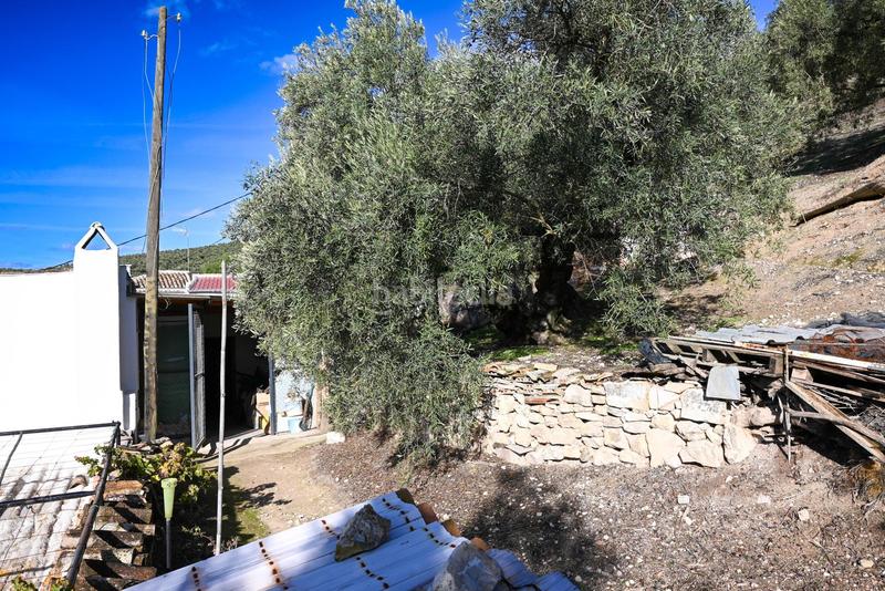 Foto e4190552-f2e1-45f1-885e-a404842d80d1. Masía en Villanueva de Algaidas