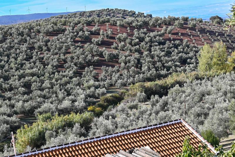 Foto fd9d0501-df18-4c14-83d7-4d12c1e9251a. Masía en Villanueva de Algaidas