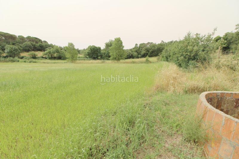 Foto b6019084-8e99-40a9-b074-59e8d8c2fc62. Casale con riscaldamento parcheggio in Mas Altaba - El Molí Maçanet de la Selva