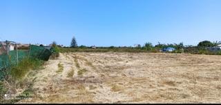 Rural plot in Bulevar del Xúquer