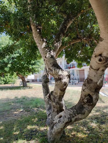 Foto e8afc959-b914-4679-bd78-844eb6a79775. Appartement avec chauffage dans Mas Mel Calafell