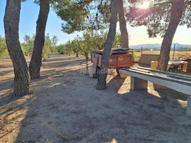 Foto 61dc1779-2809-479b-8233-93ddbabb9e1b. Casale con piscina in Las Tiesas Villena