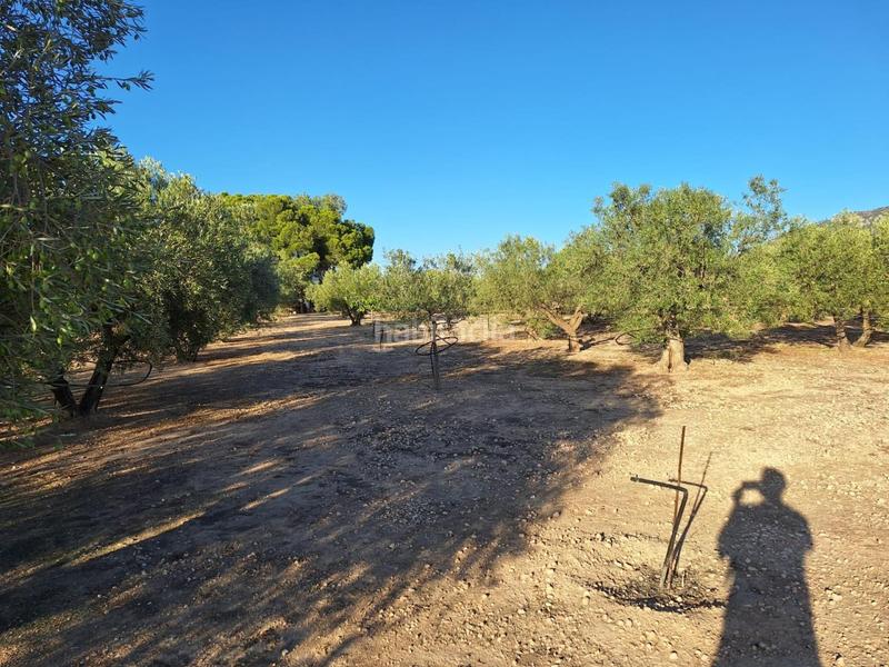 Foto b5b090e1-053c-47de-9691-34adccf7996b. Casale con piscina in Las Tiesas Villena