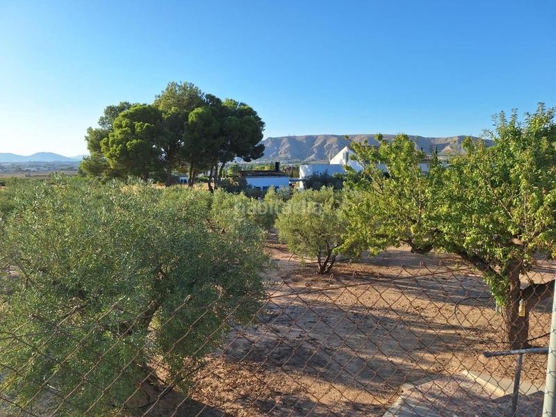 Foto 21e4b87d-6f64-4578-bc11-c617db3fae82. Masía en Las Tiesas Villena