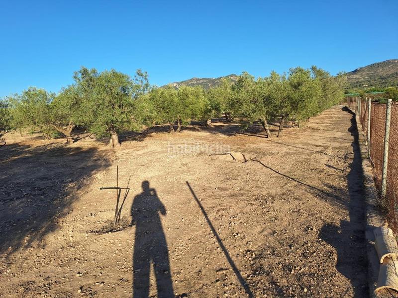 Foto 6c766f58-4c6e-45a5-9580-6cc4944d041b. Masía en Las Tiesas Villena