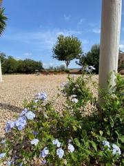 Country house in Campos