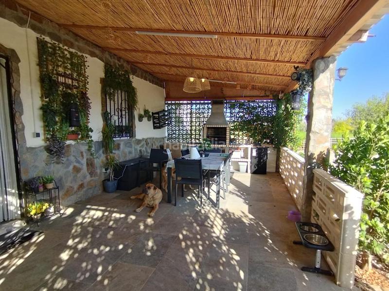 Foto c8a63bf8-519b-4851-9d19-1e8b0e75576b. Finca rústica en Bulevar del Xúquer Cullera