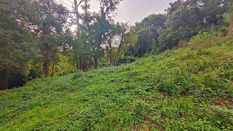 Foto d36e18d0-15e6-4892-809d-7b24ac58a638. Wohngrundstück in Cervelló