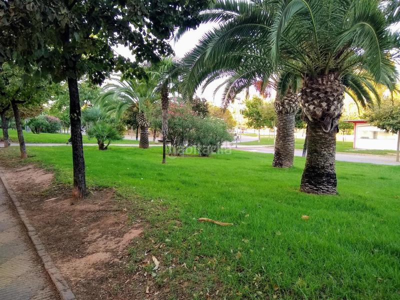 Foto 4e9a9886-74ef-4dcb-84bc-4dbae591a32e. Appartamento con riscaldamento in Nuevo Centro Sagunt