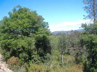 Residential Plot in Fogars de la Selva