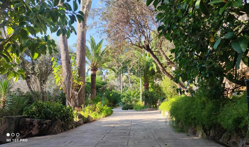 Foto 13f1f1da-1d19-4d75-aec0-a298eb227bba. Pis amb piscina a Cas Català-Illetes Calvià