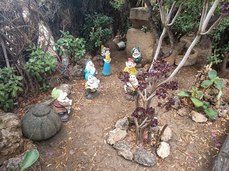 Foto 840f9465-57e8-4508-b717-6e86d663c861. Masía en Campo Alto-Club de Campo Elda