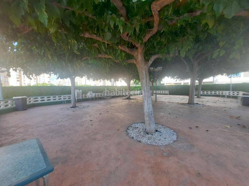 Foto 2b9028fb-b780-4d8c-88e2-47f3cb83fe8f. Alquiler apartamento en Platja de la Pobla de Farnals Pobla de Farnals (la)