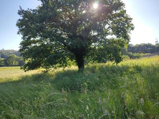 Residential Plot in Parroquias de Santiago