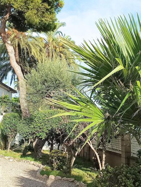 Foto ad67f42d-a97f-4969-b74f-95f3e93d05b3. Pis amb calefacció aparcament a Baixador Castelldefels