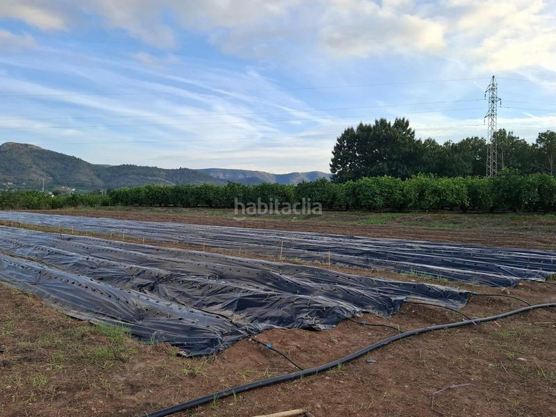 Foto 97751231-e496-4009-a15e-b38ebe10fed4. Bauernhof mit pool in Cerdà