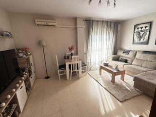 Flat in Cobreros Viejo