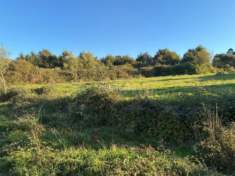 Foto 39db6705-8a30-4922-a1a7-29b68b7b2057. Casale in Lama (A)