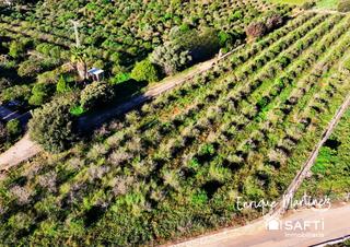 Finca rústica a La Xara-La Sella