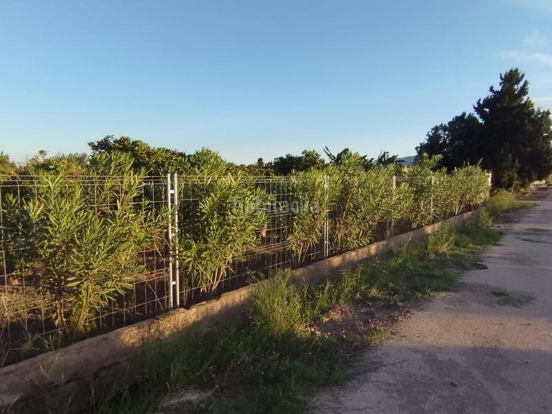 Foto 9789d80e-7032-4902-beb7-7eafe1d0bd7a. Fondo rustico in Bulevar del Xúquer Cullera