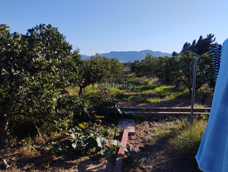 Foto 933c5917-bcc1-4211-b754-fc839751fc3c. Rural plot in Bulevar del Xúquer Cullera