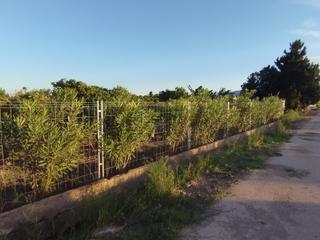 Finca rústica a Bulevar del Xúquer