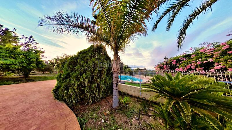 Foto 04411ada-ac69-45a9-a419-9a53a6a523e1. Mas avec chauffage parking piscine dans Novelda