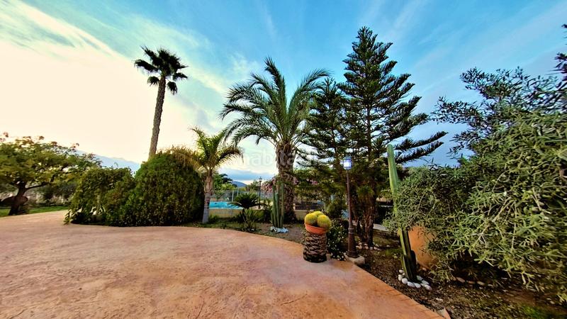 Foto 94136290-a814-4503-82b4-3d25ac738b62. Mas avec chauffage parking piscine dans Novelda