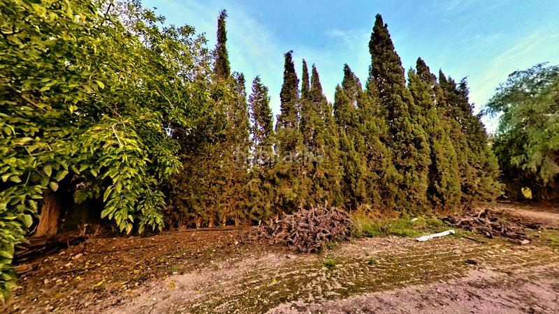 Foto 9b12a46c-fda7-4d31-9e95-b2962f0517e0. Mas avec chauffage parking piscine dans Novelda