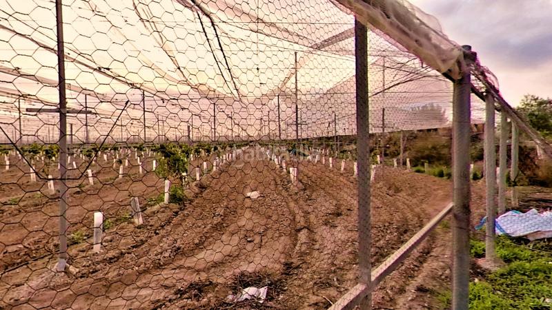 Foto a74228b4-37ba-4eaf-92ae-fe9ce525a67a. Mas avec chauffage parking piscine dans Novelda