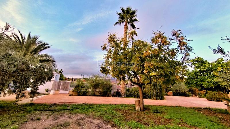 Foto c5032548-a06d-4057-a967-093d5df233e6. Mas avec chauffage parking piscine dans Novelda