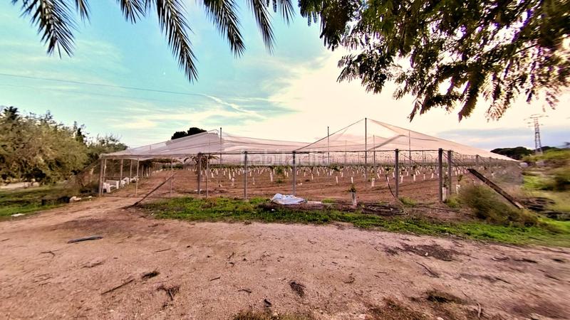 Foto ce0a3a44-9777-45ec-b681-c5cb9ef77f48. Mas avec chauffage parking piscine dans Novelda