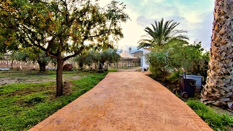 Foto cfa1e681-788c-4d3a-ae00-3112966c6512. Mas avec chauffage parking piscine dans Novelda