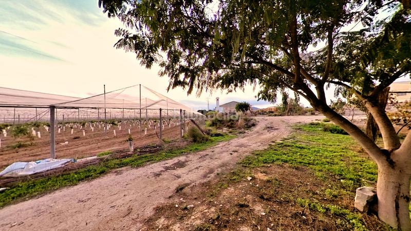 Foto ebe3439d-dcdf-4157-92a9-07a80c678522. Mas avec chauffage parking piscine dans Novelda