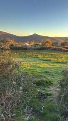 Finca rústica a Lama (A)