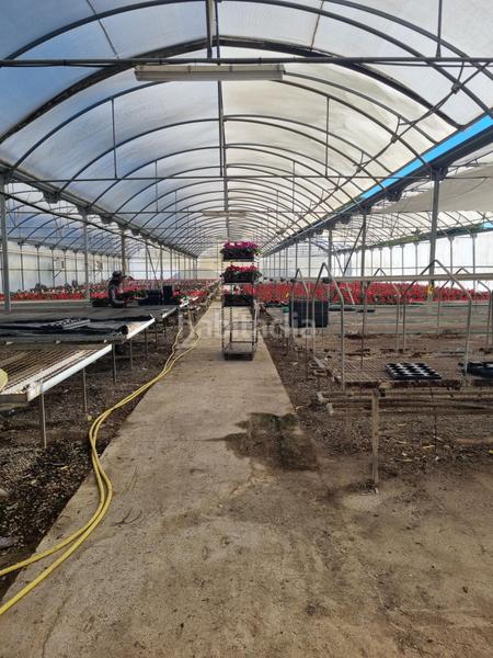 Foto d7479b86-1a68-4a03-90ab-2fd0e7d33e0d. Landgut in Sant Cebrià de Vallalta