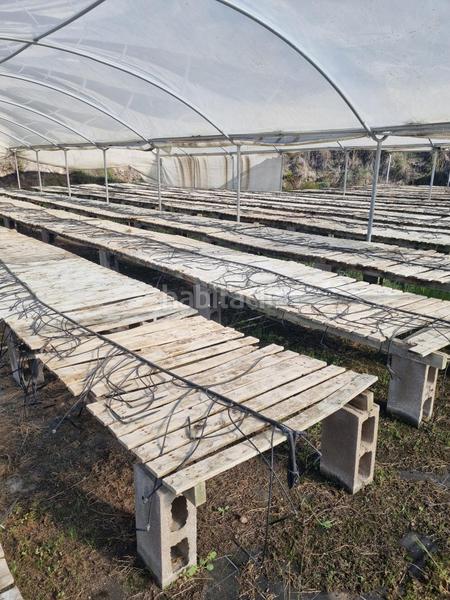 Foto e7af5448-e87f-422c-9ad0-449c93c3db13. Landgut in Sant Cebrià de Vallalta